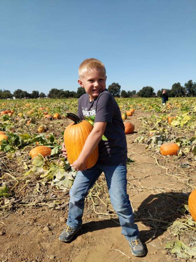 Picking Pumpkins 2019